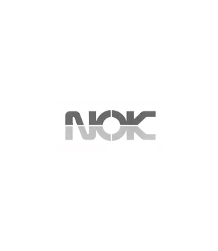 NOK NOK
